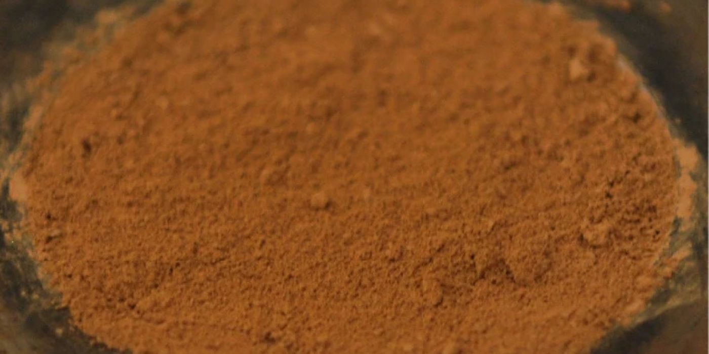 close up image of brown-red dirt.